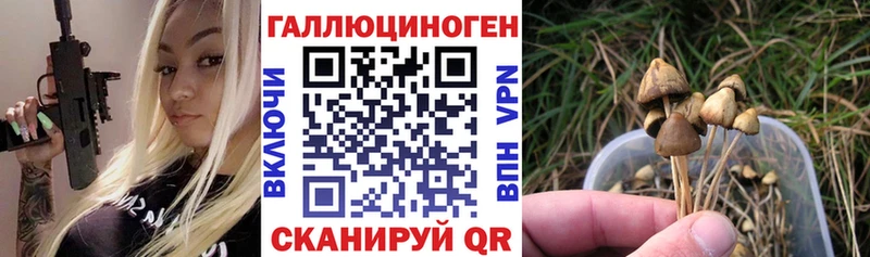 Псилоцибиновые грибы Psilocybine cubensis  Голицыно 